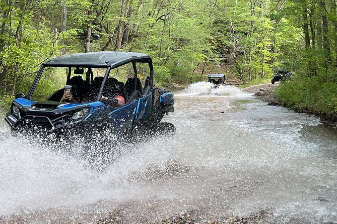 3 Hour Back Country Can-Am Experience - Wildlife Moments and Seasonal Riding (Year-Round)