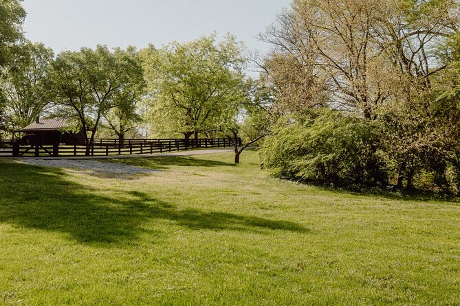 Battle at Belle Meade Civil War Tour & Complimentary Wine Tasting - Following the Footsteps: Multiple Stops, Not One Big Lecture