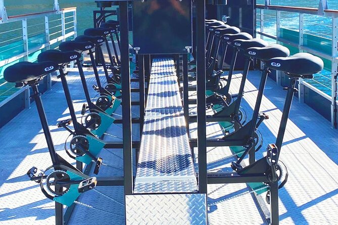 Downtown Nashville Pedal Pontoon Boat Cruise with Captain - The 90 Minutes on the Cumberland: Skyline Views, Wildlife, and Historic Glimpses