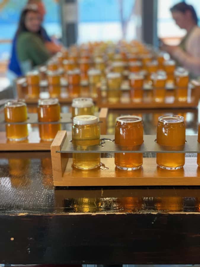 Nashville: Hop-On Hop-Off Brewery Trolley Tour - Should You Book This Nashville Brewery Trolley?