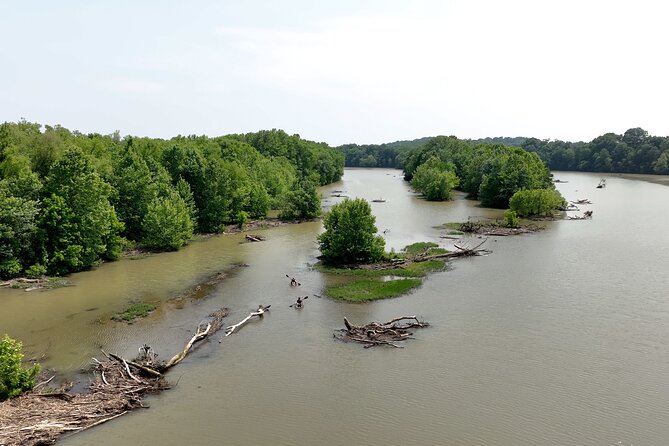 Small Group Clear Kayak Tour of Old Hickory Lake - Price and Value: Is $69 Worth It?