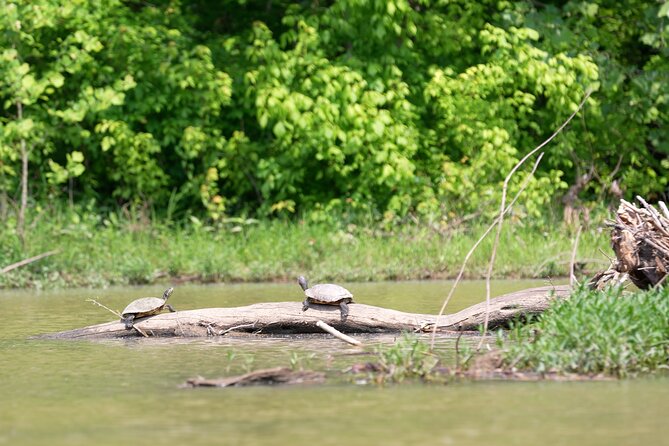 Small Group Clear Kayak Tour of Old Hickory Lake - Weather, Wind, and Physical Fit: The Honest Tradeoffs
