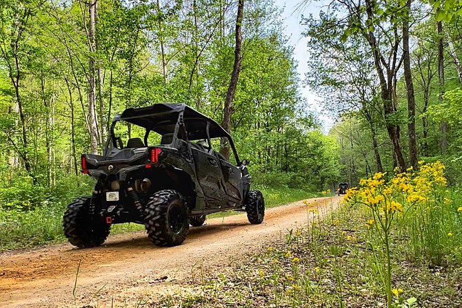 VIP 8 Hour Back Country Can-Am Experience - Who this tour suits best (and who should reconsider)